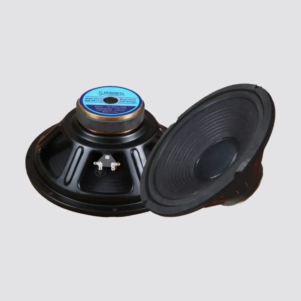 12" 100W WOOFER